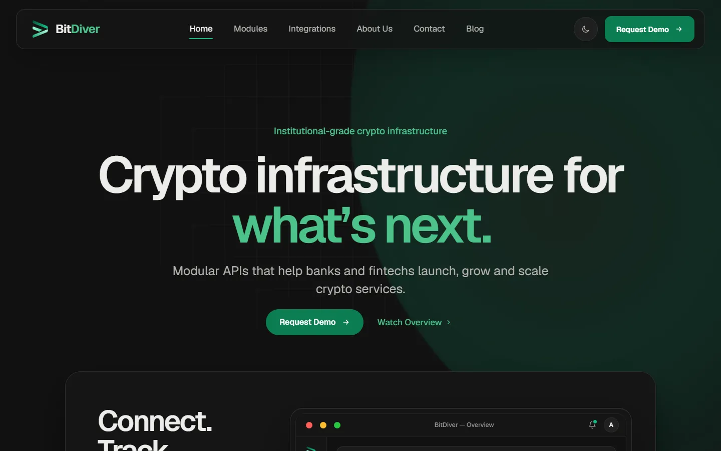 BitDiver concept, homepage, desktop view